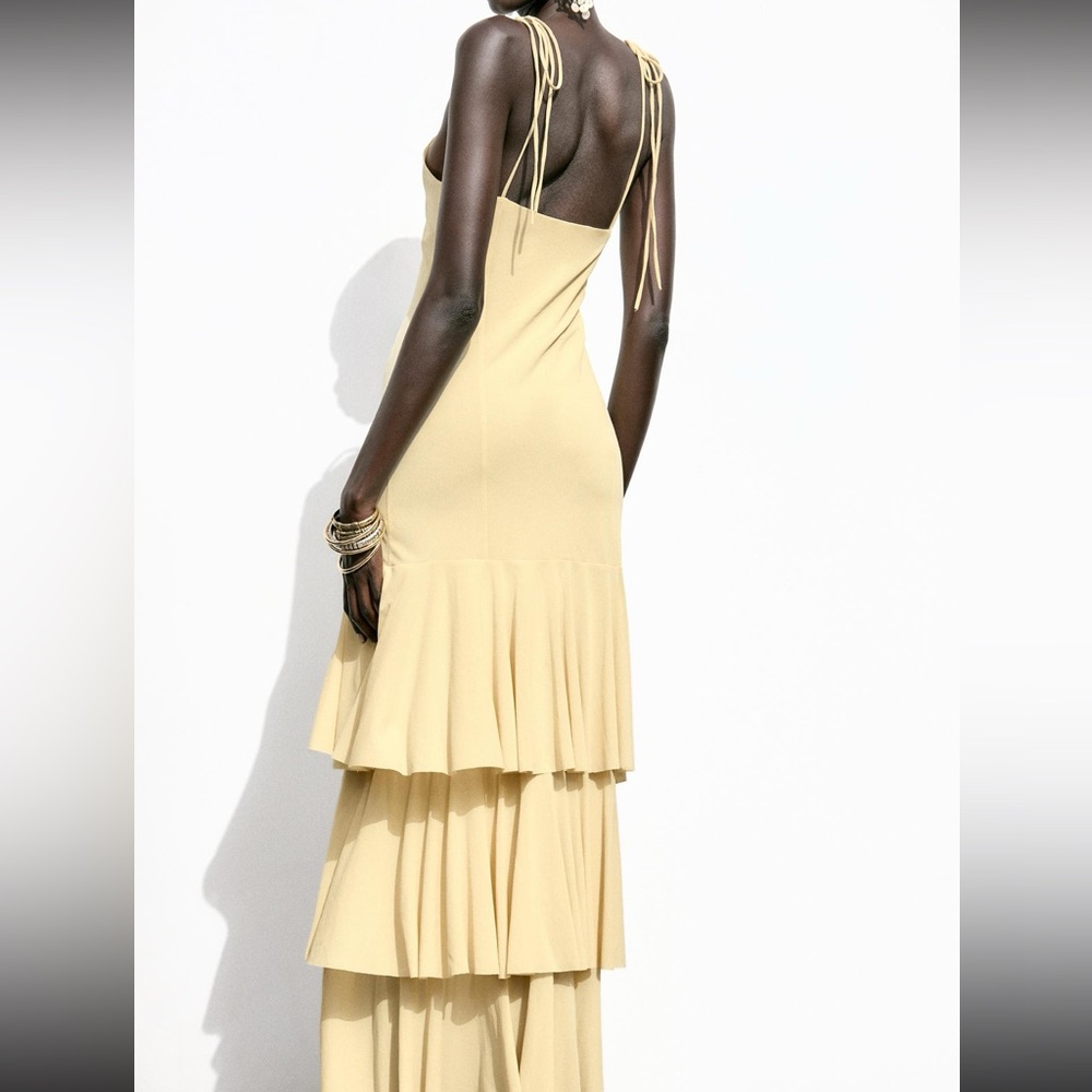 Zara Dress